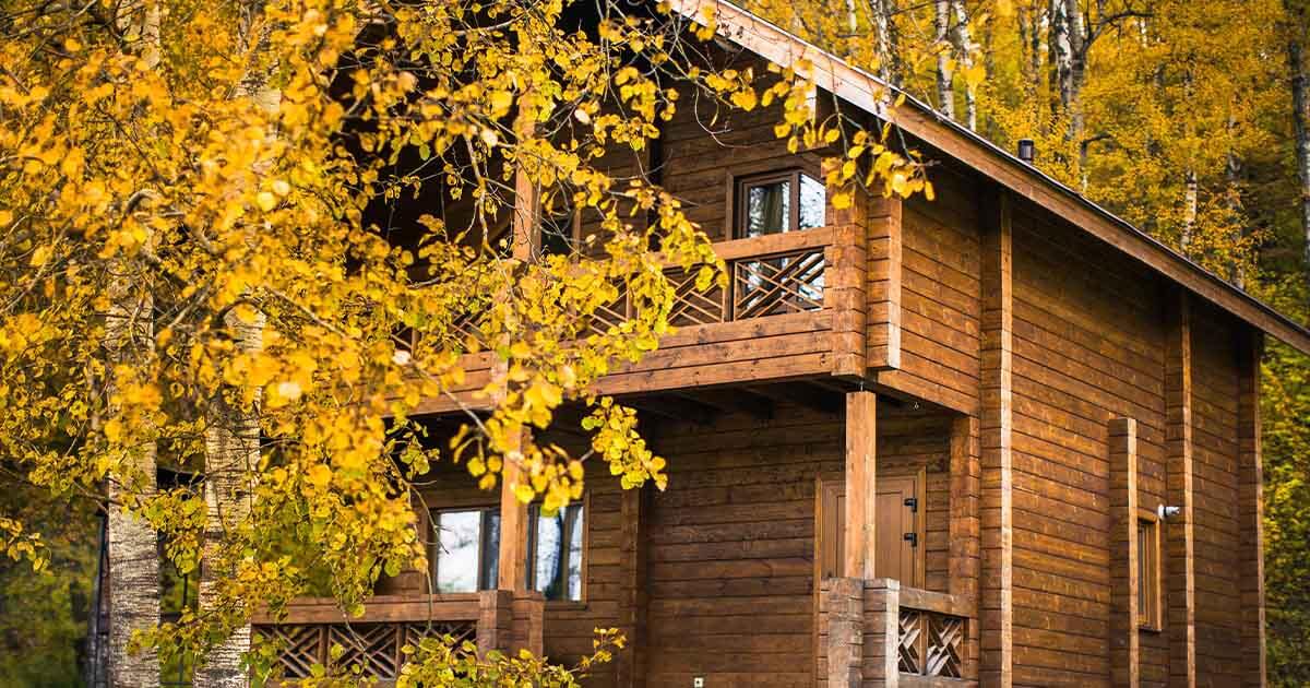 Отдых недалеко от Москвы | Истории | Экоотели вокруг 18 июля 2023