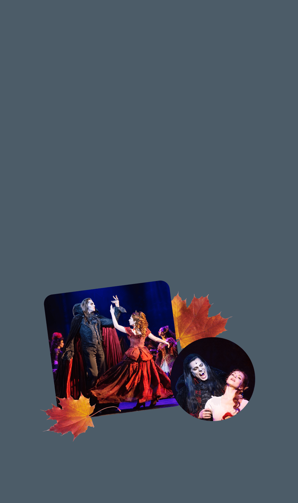 Бал Вампиров Мюзикл Купить Билеты